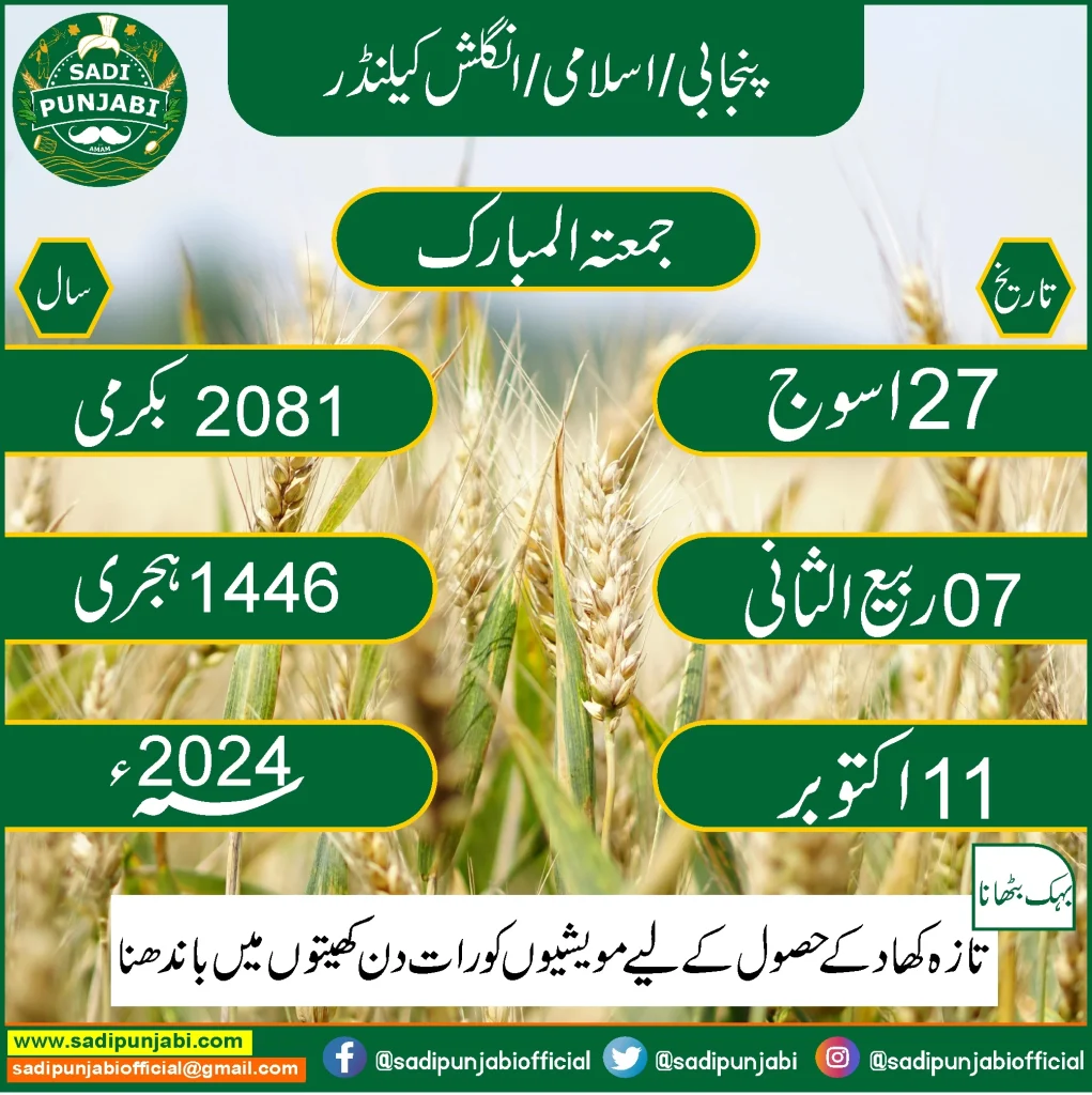 Punjabi Calendar dated 11.10.24